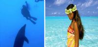 Tahitiresa.com, la mine d'or pour les plongeurs en quête de bonnes adresses !. Publié le 06/12/11